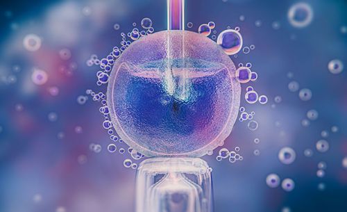 In Vitro Embryo Transfer Technology: Precision Fluid Handling Solutions