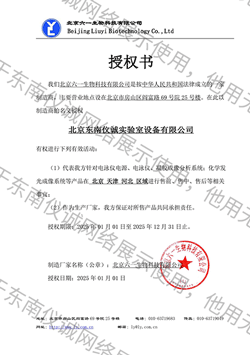 北京六一授权书