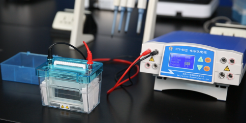 Laboratory at a University in Beijing