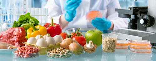 Food Testing: Key Parameters and Essential Laboratory Instruments