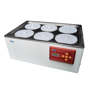 Shanghai Boxun Electric Constant Temperature Water Bath Pot HH.S21-6