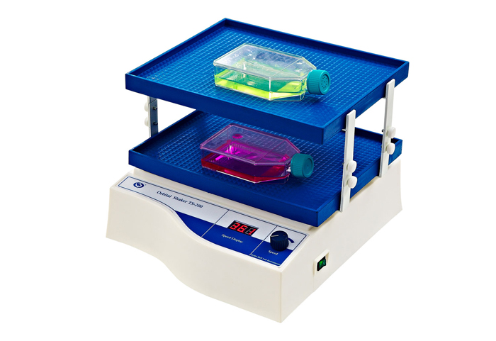 Chelin Bell Decolorization Shaker TS-200， Digital display, double layer